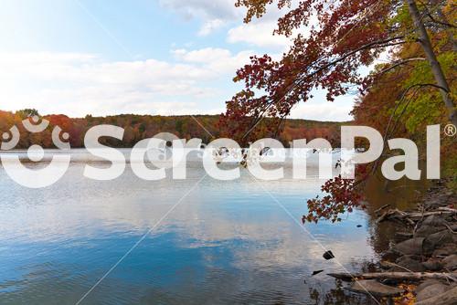 New England Fall Foliage